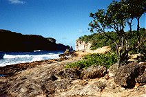 'L'enfer' de ce paradis tropical