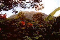 Un volcan de Guadeloupe